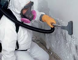 Brookside, NJ Mold Removal & Remediation Company